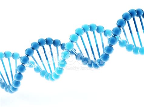 Dna 双螺旋结构分子的结构 照片素材 - FreeImages.com