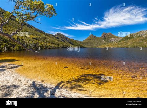 Cradle Mountain Lake Dove Stock Photo - Alamy