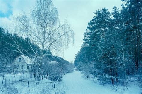 Premium Photo | Village in the forest in snowy winter