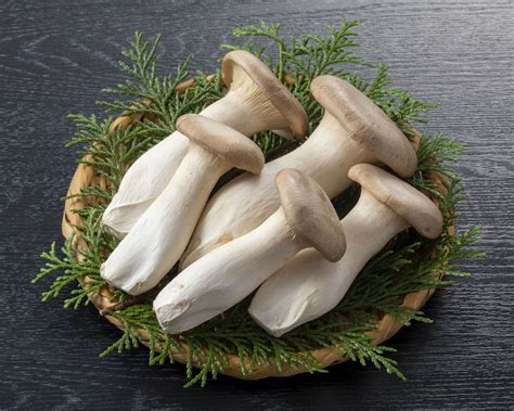 Mushrooms: A Staple of the Japanese Table | Nippon.com