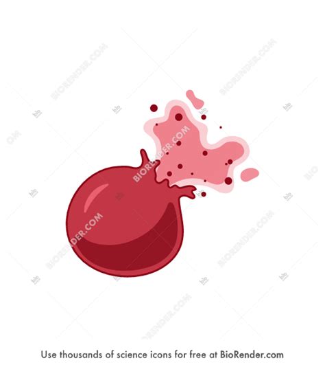 Free Red blood cell (lysed) Icons, Symbols & Images | BioRender