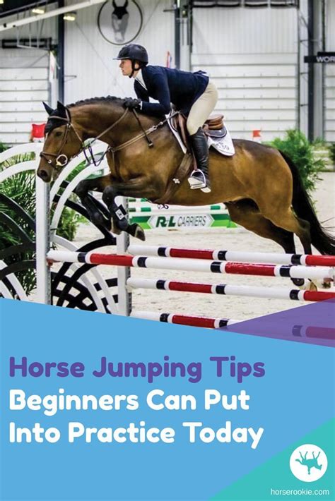 Horse Jumping Tips Beginners Can Put Into Practice Today | Horse ...