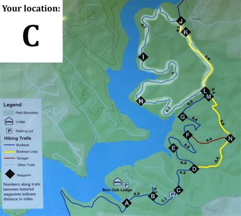 Ohio State Park Lodges Map - Printable Map