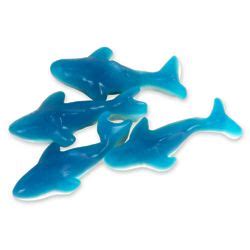 5 Pounds of Blue Gummy Shark Candies - FindGift.com