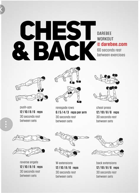 Pin by Christa Conrad on Fitness | Calisthenics workout, Chest and back ...