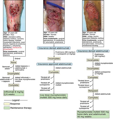 Effective Strategies for the Management of Pyoderma Gangrenosum: A Comprehensive Review | HTML ...