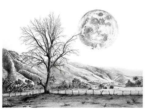 Image result for Drawings of Trees Sketches | Landscape pencil drawings ...