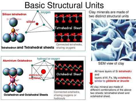 Soil Structure and Clay Minerals