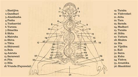 Image: The 36 nadis of body as seen in Shatchakra niroopana chittra by ...