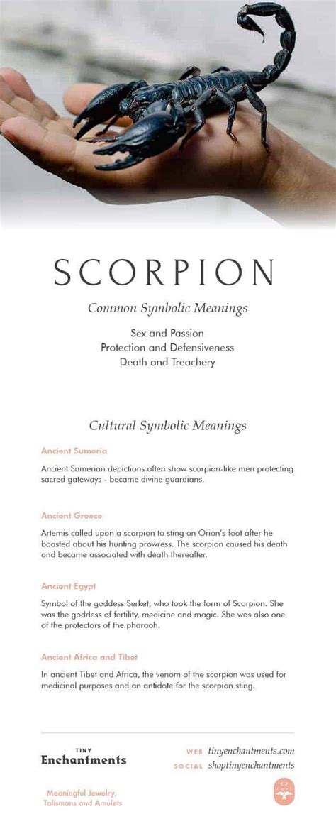 Scorpion Symbolism - Scorpion Dream Meaning, Scorpion Mythology and ...