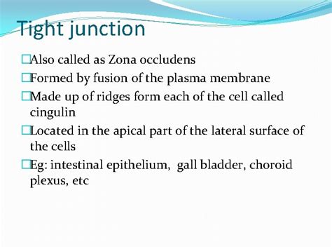 Cell junctions Intercellular junctions A Occluding junctions Tight