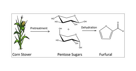 Production of Furfural from Process-Relevant Biomass-Derived Pentoses in a Biphasic Reaction ...