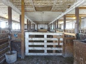 Prison farm group critical of Joyceville Institution abattoir | Kingston/Frontenac This Week