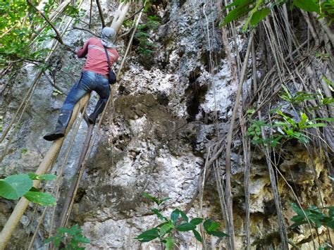 The Search for the Ilin Island Cloudrunner, Lost to Science for 66 Years - Global Wildlife ...