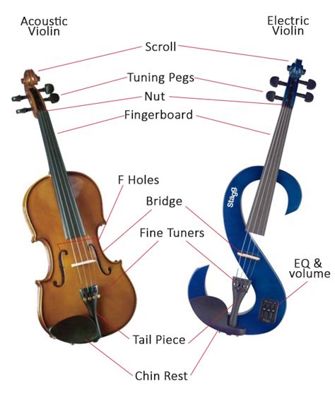 How to Buy a Violin | Violin Sizes & Types - Austin Bazaar