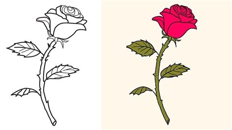 Rose Drawing Steps Beginners at GetDrawings | Free download