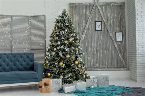 Is There Mold on Your Christmas Tree? | Mold Solutions