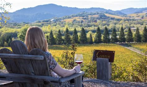 Best Wineries with a View | Healdsburg CA | Wine Country Table