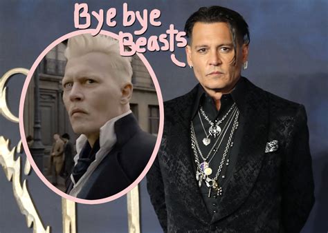 Johnny Depp FIRED From Fantastic Beasts After Losing Libel Suit ...