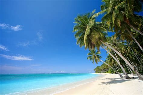 🔥 Free Beach Screensavers and Wallpapers on WallpaperSafari | Beach wallpaper, Beach screensaver ...