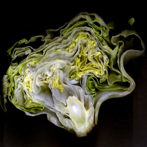 cabbage vegetable free image | Peakpx