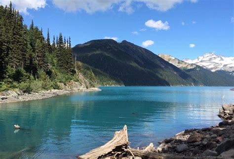 Whistler Hiking Guide: An Introduction To Whistler’s Most Famous Hikes