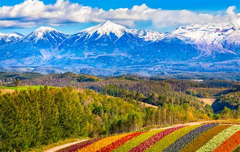 北海道の大自然の中で車を走らせよう！ドライブで巡る人気の観光スポット13選！ - おすすめ旅行を探すならトラベルブック(TravelBook)