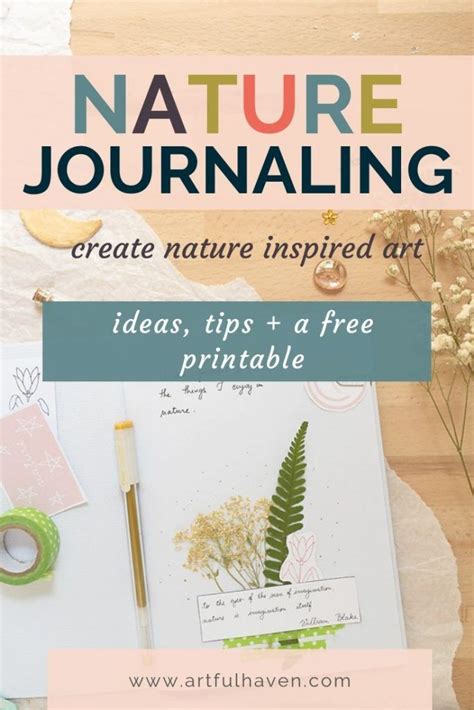 Explore nature journaling and make nature inspired art. # ...