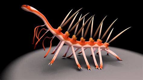 Hallucigenia is aptly named: With long spines down its back, seven pairs of clawed legs, and six ...