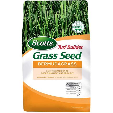 Best Grass Seed for Any Lawn | The Family Handyman