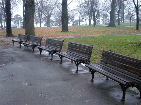 Free Stock Photo 293-park_benches_1393.JPG | freeimageslive