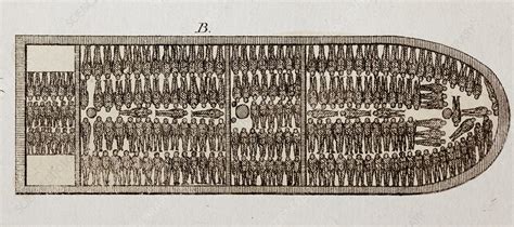 Slave ship diagram, 19th century - Stock Image - C028/9551 - Science ...