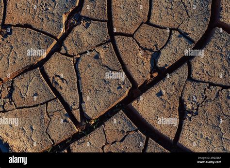 Cracked ground in desert close-up Stock Photo - Alamy