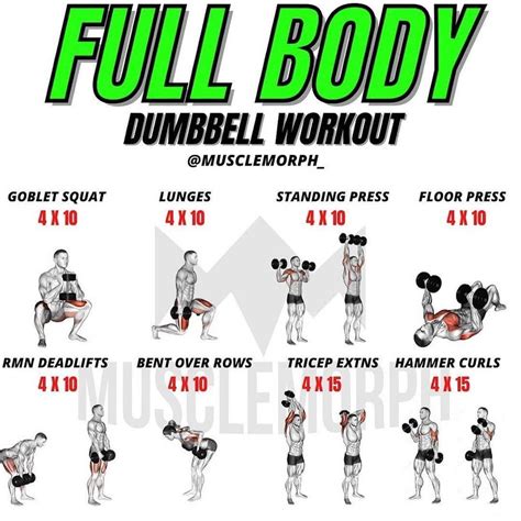 @fitnesss_tips on Instagram: “#Repost @gyms.tips --- FULL BODY DUMBBELL WORKOUT By @musclemorph ...