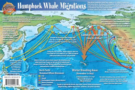 Pacific Humpback Whale Migration Card – Franko Maps