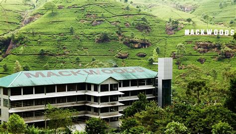 Mackwood Tea Factory, Nuwara Eliya - Timings, Entry Fee, History ...