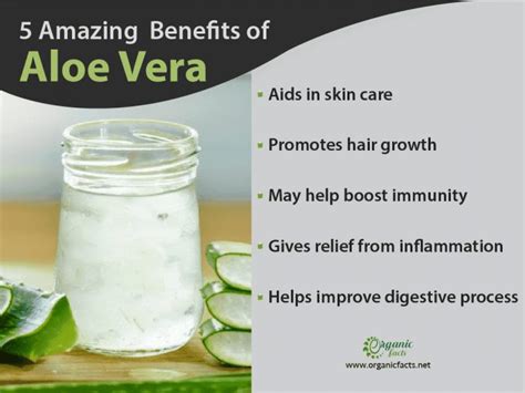 9 Proven Benefits & Uses of Aloe Vera | Organic Facts