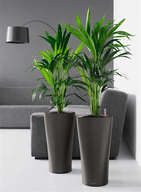 Plant Care Inc. » Plant Containers