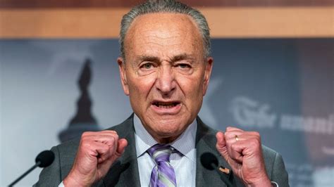 New York Congressional Delegation Project: Charles Schumer