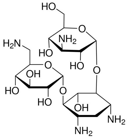 Kanamycin solution from Streptomyces kanamyceticus 50 - 60 mg/mL in 0.9% NaCl, BioReagent ...