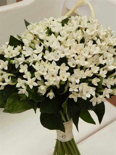 Pin by Lamprinh Argyrakoy on νυφικα μπουκετα | Flower bouquet wedding, Flowers bouquet, Wedding ...