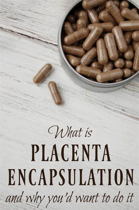 What is Placenta Encapsulation and Why You'd Want to do It - The Pistachio Project