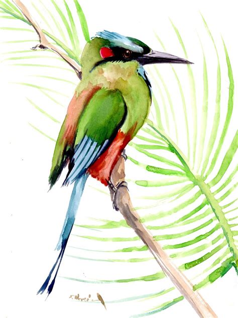 Motmot Bird artwork Watercolour by Suren Nersisyan | Artfinder