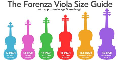 Viola Violin Size Comparison | My XXX Hot Girl