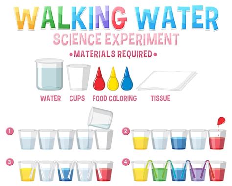 Premium Vector | Walking water science experiment