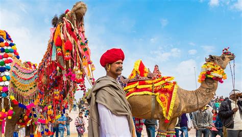 Pushkar Mela Tour With Rajasthan | Pushkar Mela 2024