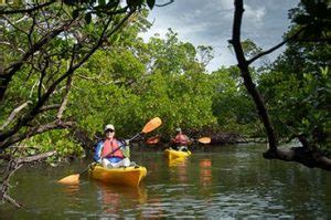 Rookery Bay | National Estuarine Research Reserve