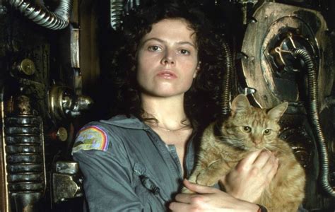 Jonsey, the cat from Alien, is getting his own spin-off