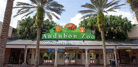 Audubon Zoo now open with limited capacity | InPark Magazine