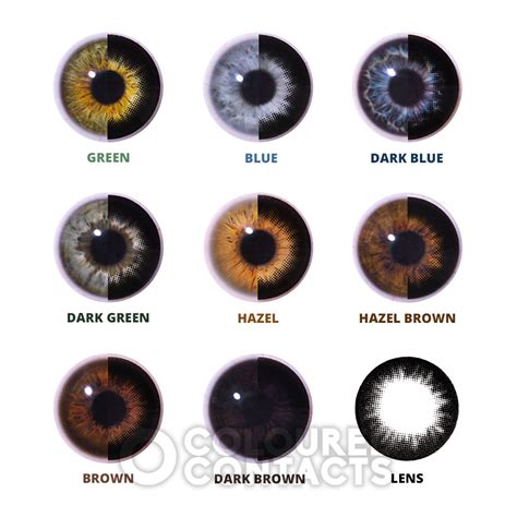 Black Circle 90 Day Colored Contacts, Cosplay Anime Lenses